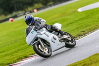PJ-Motorsport-Photography-2020;anglesey;brands-hatch;cadwell-park;croft;donington-park;enduro-digital-images;event-digital-images;eventdigitalimages;mallory;no-limits;oulton-park;peter-wileman-photography;racing-digital-images;silverstone;snetterton;trackday-digital-images;trackday-photos;vmcc-banbury-run;welsh-2-day-enduro